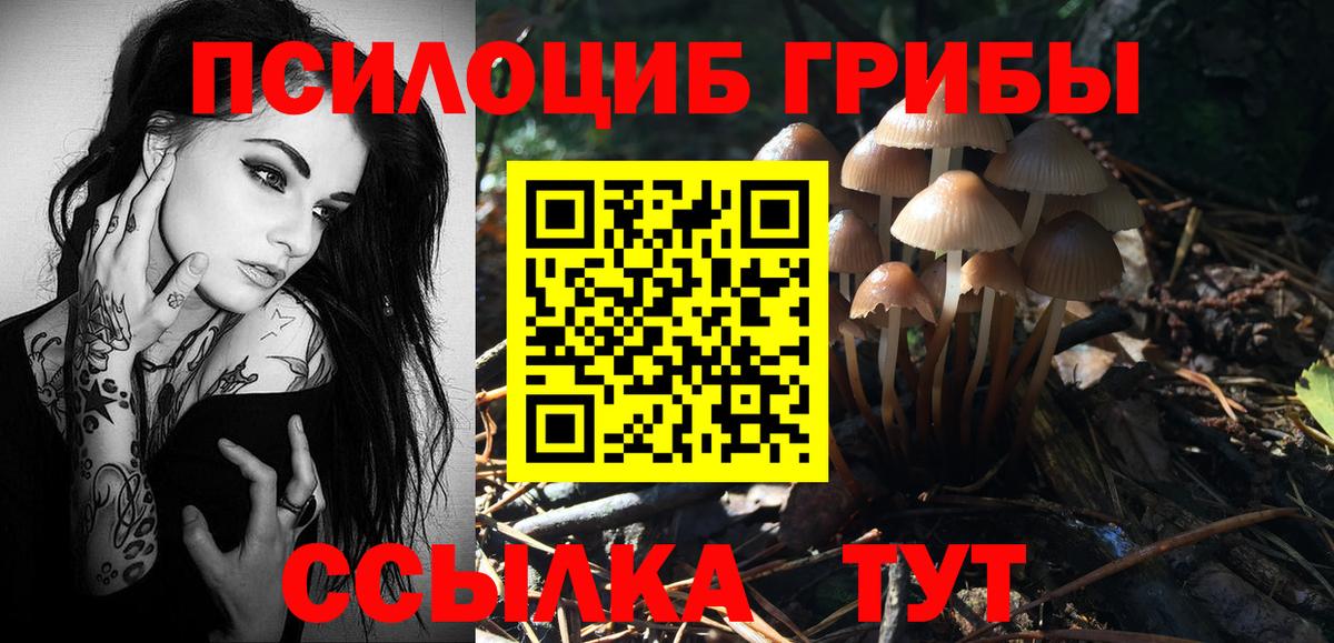 Галлюциногенные грибы ЛСД Черногорск